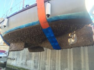 Dirty hull of bilge keel sailing boat. Hoisted out using a sling in marina reading for painting antifouling